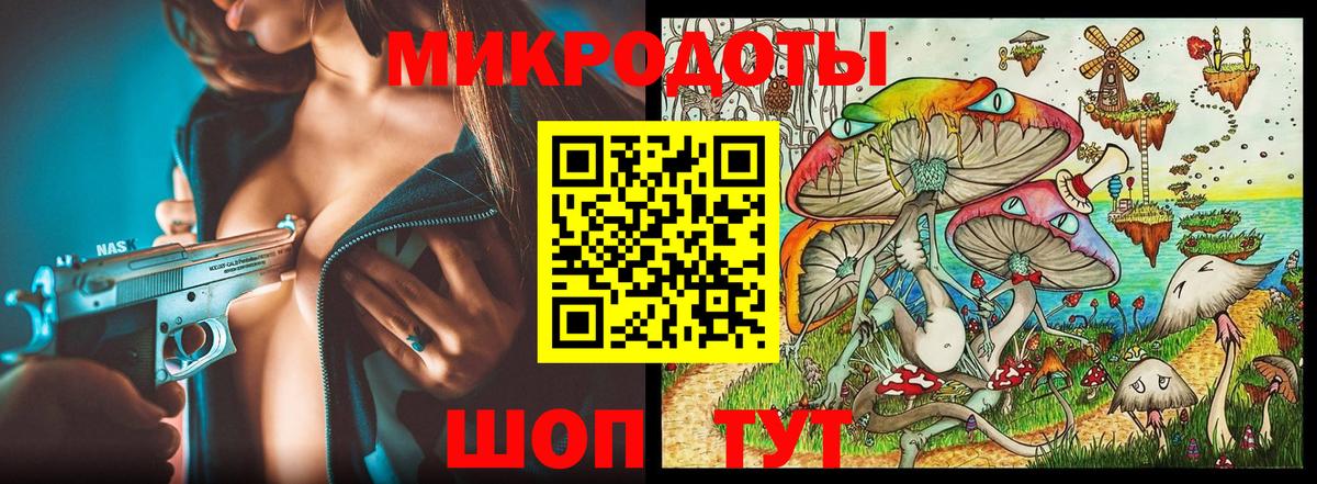 Псилоцибиновые грибы Cubensis Сокол