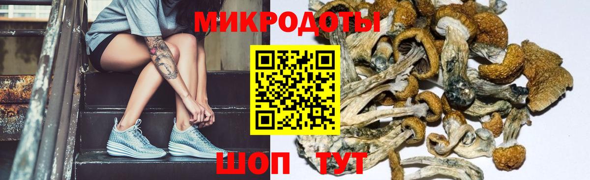 Сокол  Галлюциногенные грибы GOLDEN TEACHER  купить  сайты  Вход с VPN  Псилоцибиновые грибы прущие грибы 